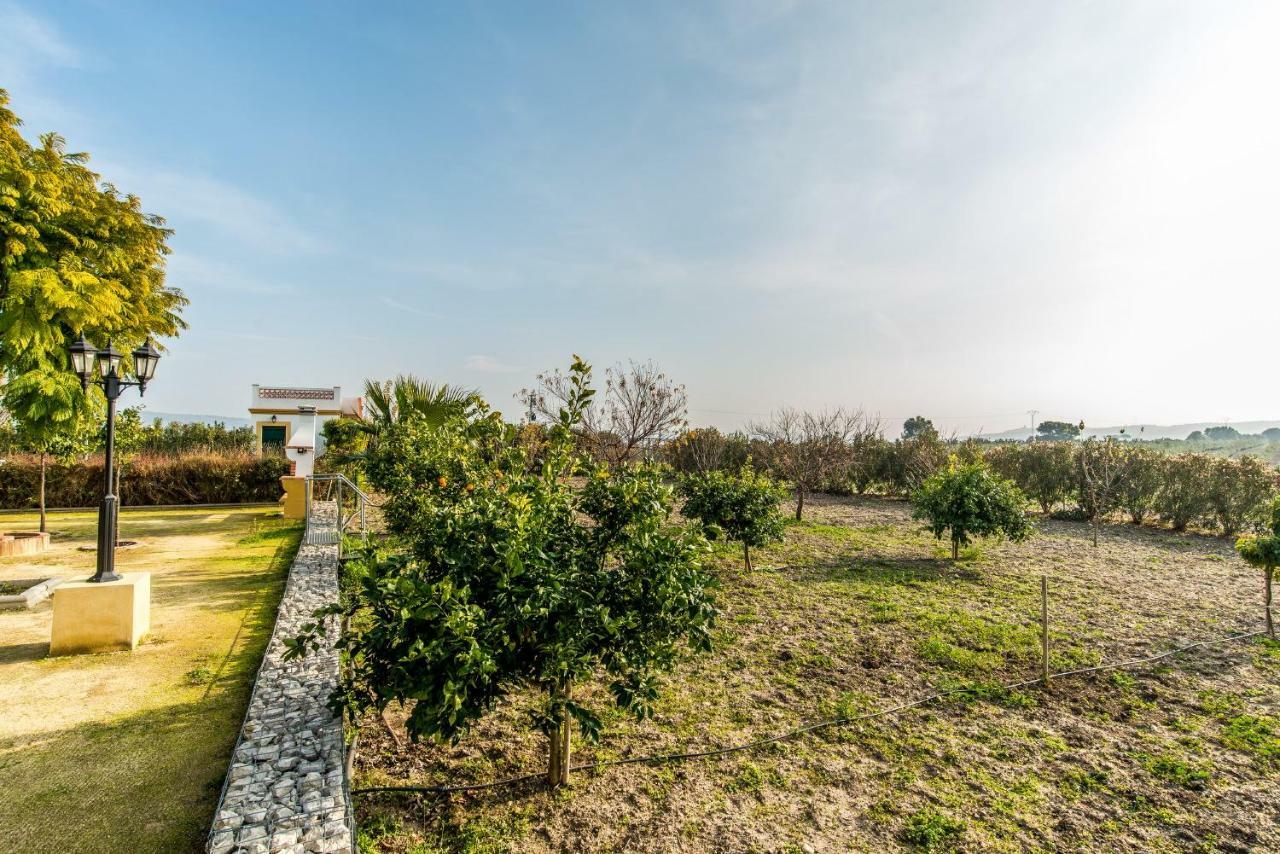 Vivienda Rural Olivar de San Telmo Arcos de la Frontera Exterior foto