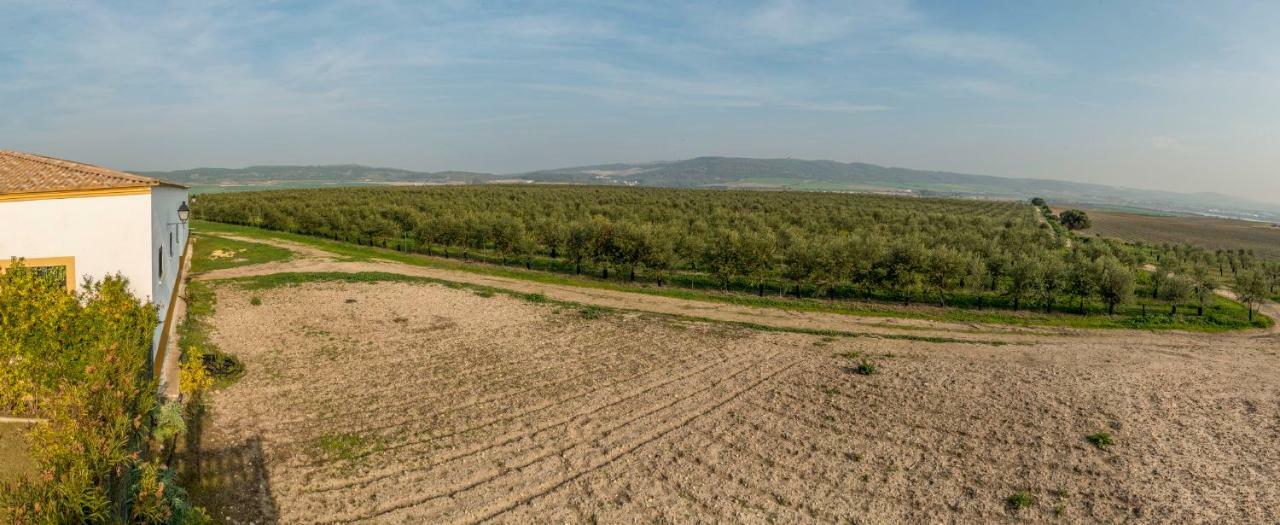 Vivienda Rural Olivar de San Telmo Arcos de la Frontera Exterior foto